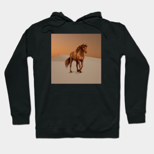 Desert horse Hoodie